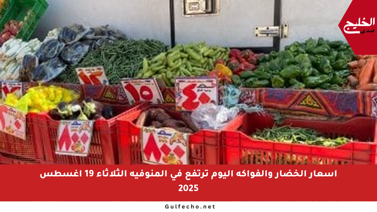 أسعار الخضار والفواكه اليوم ترتفع في المنوفية الثلاثاء 19 أغسطس 2025